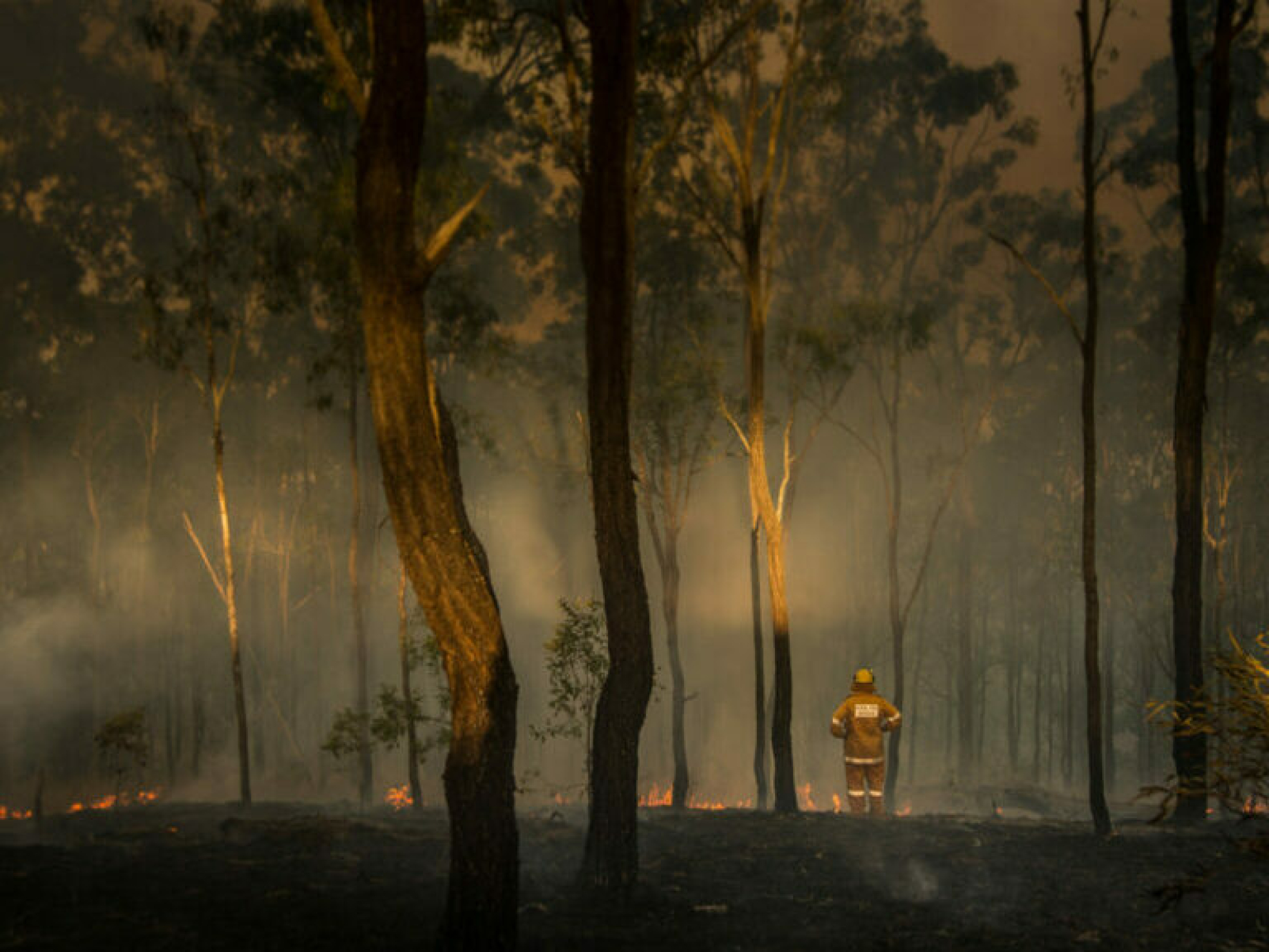Rural,Firefighter,Watching,Bush,Fire,In,Queensland,,Australia