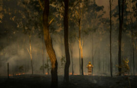 UNSW Canberra advances understanding of ember movements in bushfire research