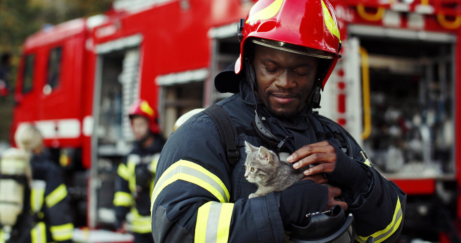 firefighter and cat