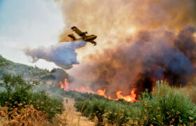 Emergency Aircraft Act introduced to improve response to wildfires