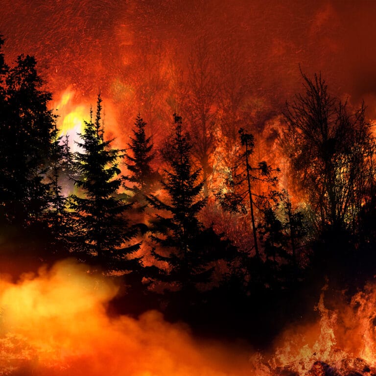 Wildfires in England and Wales reach 716 as NFCC warns of growing pressure on fire services