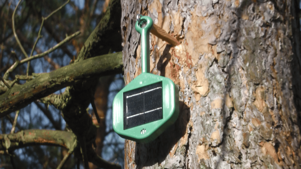 Exploring Dryad Networks’ digital forest that is changing the face of early wildfire detection