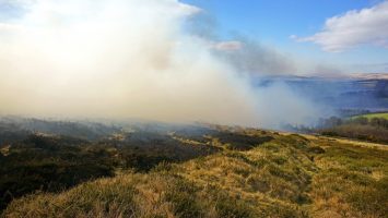 Wildfire destroys 12,500 acres on Dartmoor as UK faces record May temperatures