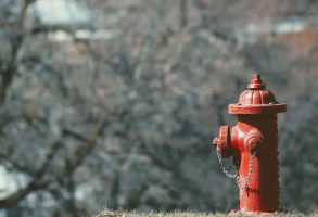 Stock fire hydrant