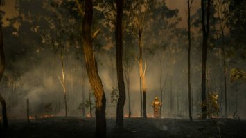 Rural,Firefighter,Watching,Bush,Fire,In,Queensland,,Australia