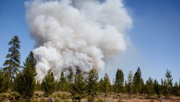 A new wildfire broke out and quickly put up a billowing smoke column on Sunday 6th July near Paulina Lake Road in the La Pine area in the state of Oregon.