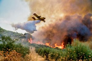Peloponnese,,Greece,,05,August,2021:,A,Firefighting,Plane,Releases,Its