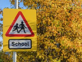 School,Warning,Sign,On,The,Yellow,Background,Of,Autumn,Leaves.