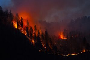 2021 Wildfire Prevention Summit